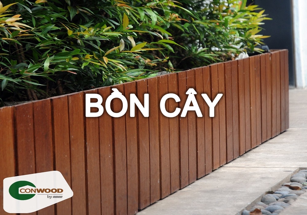 BỒN CÂY CONWOOD